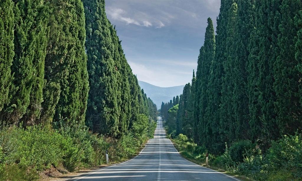 Agriturismo Ss Annunziata ซานวินเชนโซ ภายนอก รูปภาพ