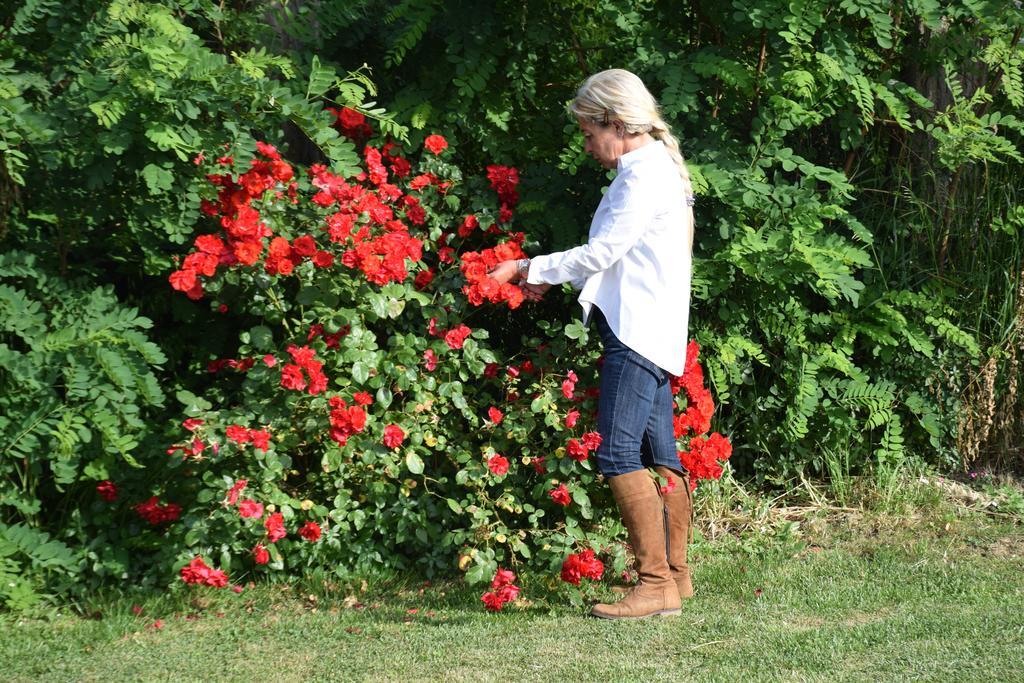 Agriturismo Ss Annunziata ซานวินเชนโซ ภายนอก รูปภาพ