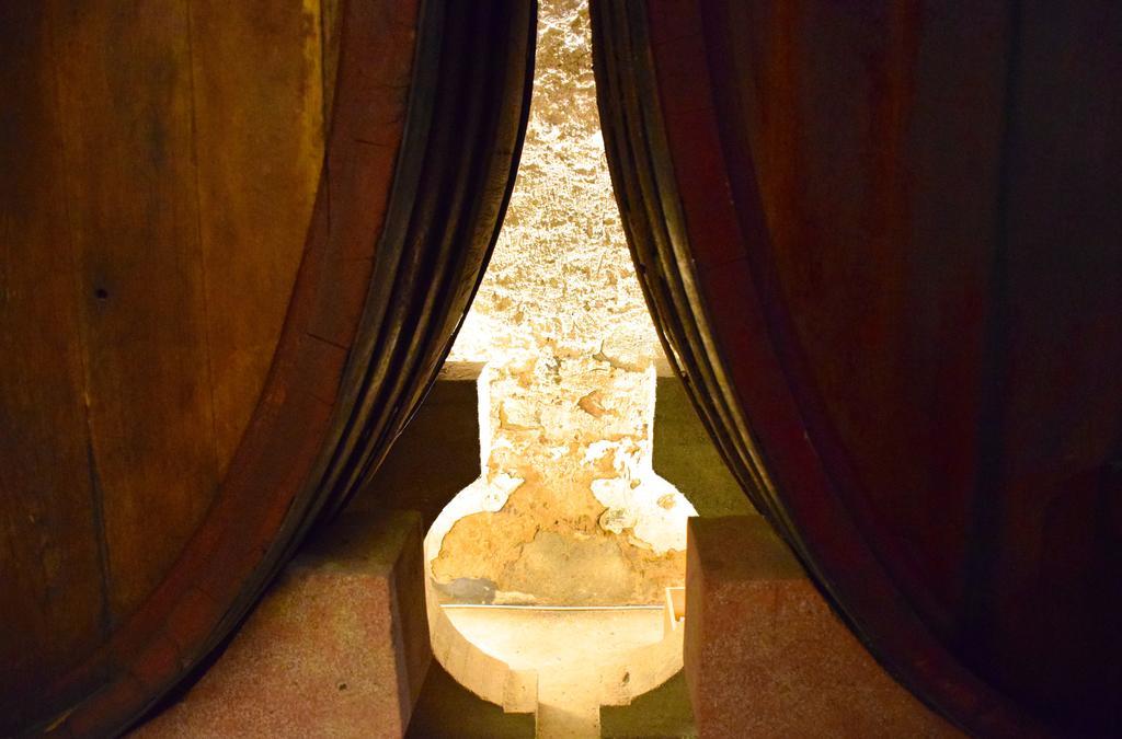 Agriturismo Ss Annunziata ซานวินเชนโซ ภายนอก รูปภาพ