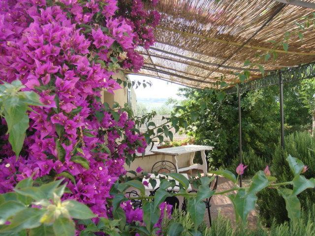 Agriturismo Ss Annunziata ซานวินเชนโซ ภายนอก รูปภาพ