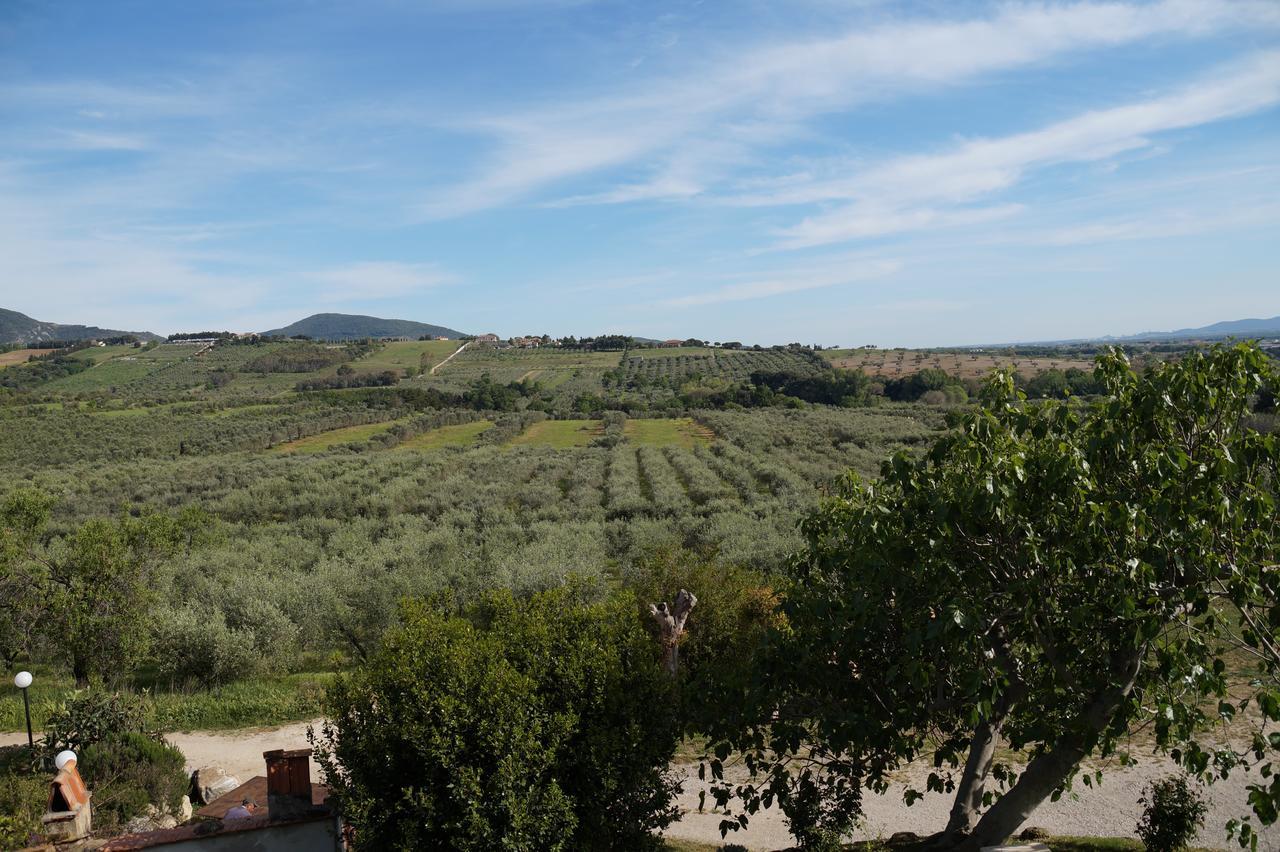 Agriturismo Ss Annunziata ซานวินเชนโซ ภายนอก รูปภาพ